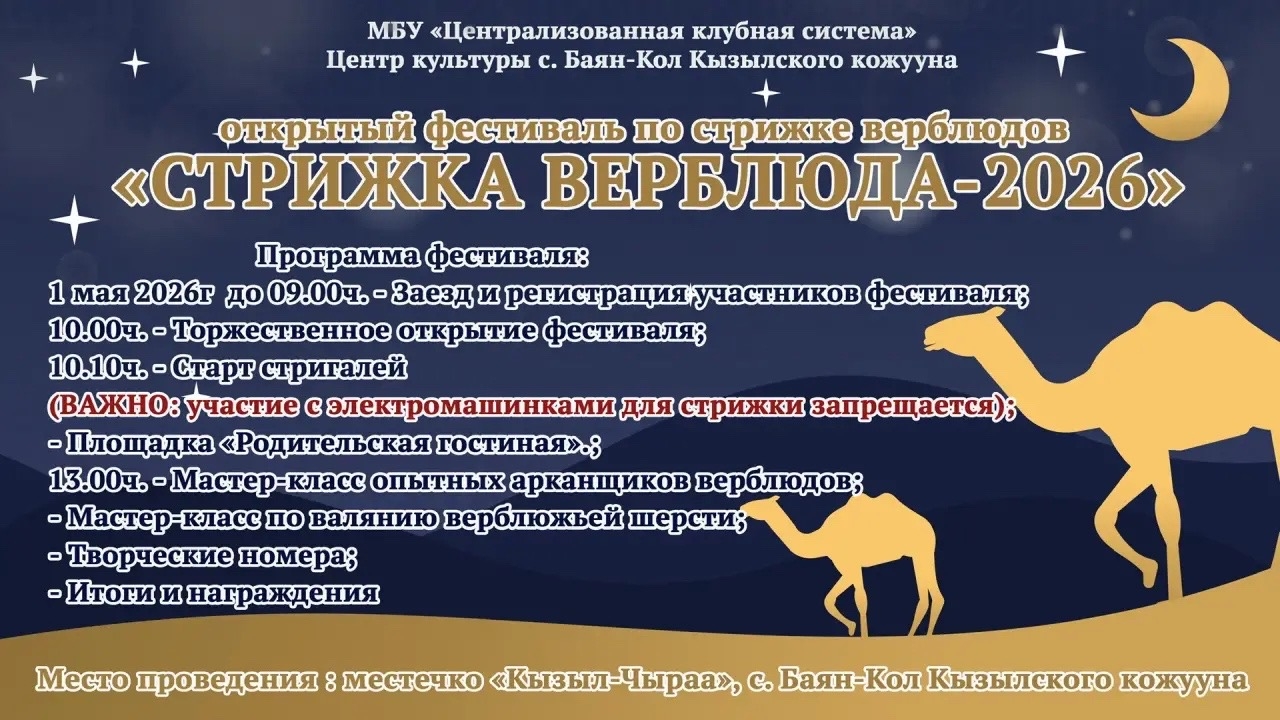 1 мая 2026 г. в местечке «Кызыл-Чыраа» с.Баян-Кол Кызылского кожууна состоится открытый фестиваль по стрижке верблюдов