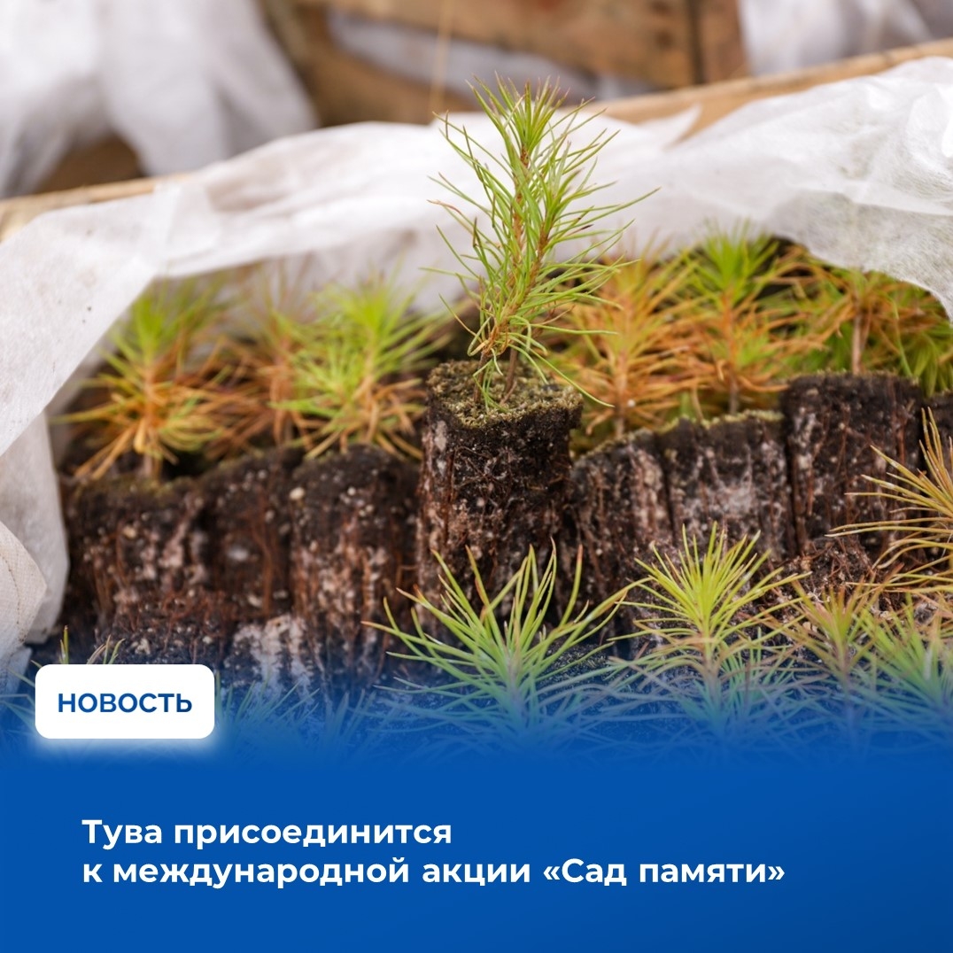 Республика Тыва присоединится к международной акции «Сад памяти», которая в этом году проходит уже в седьмой раз