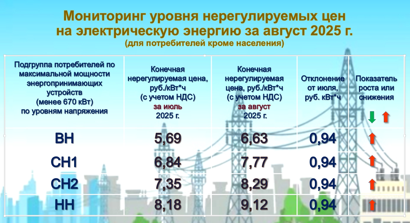 Мониторинг нерегулируемых цен на электрическую энергию для прочих потребителей по состоянию на 31.08.2025 г.
