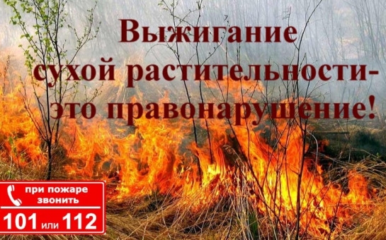 Правила пожарной безопасности: запрет на выжигание сухой растительности