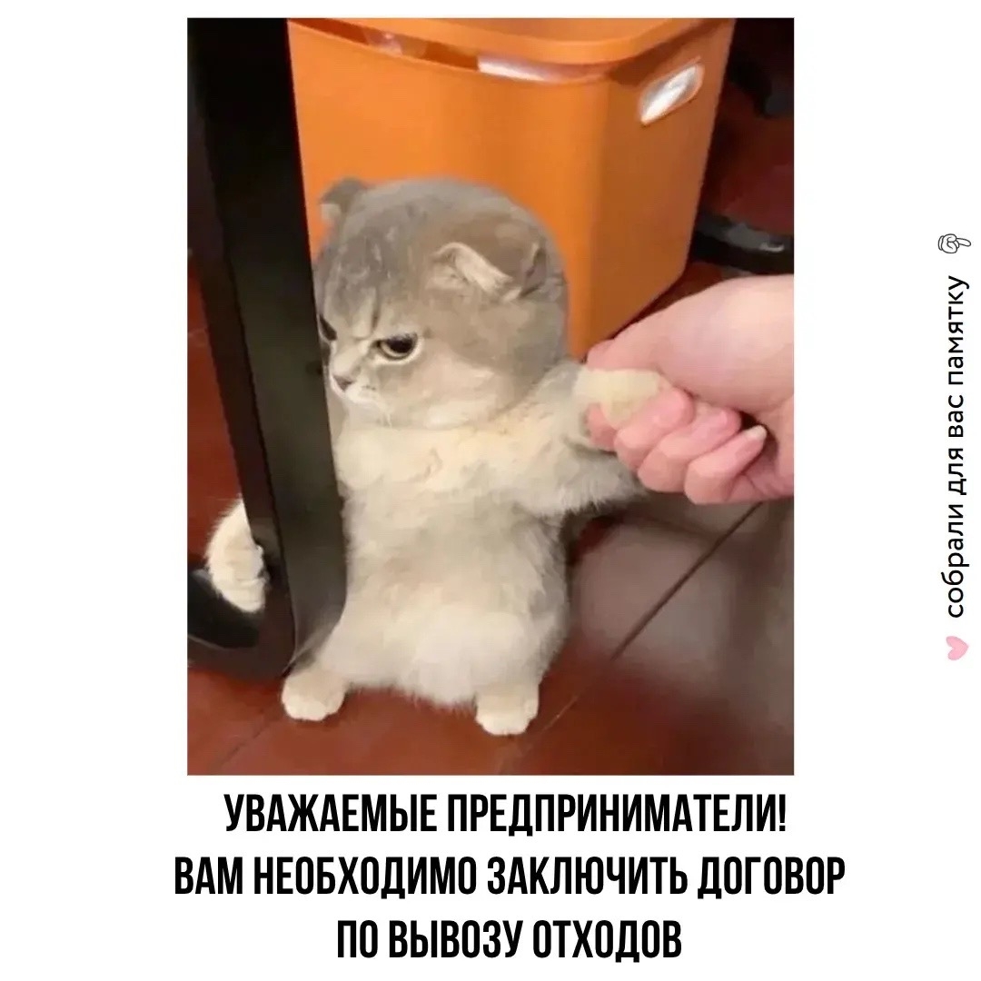 Согласно Федеральному закону №89 предприниматели обязаны заключить договор по обращению с ТКО с региональным оператором