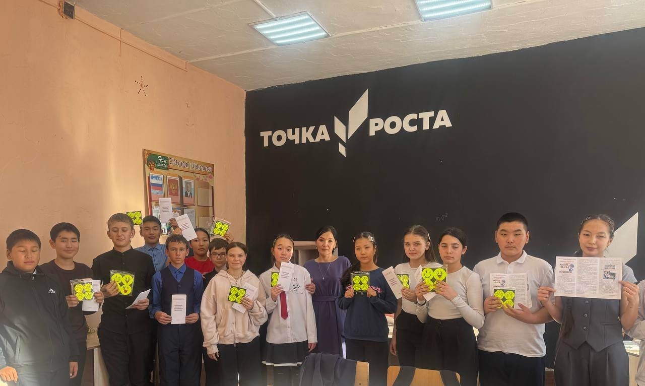 Свет в каждый дом, безопасность на каждую дорогу!