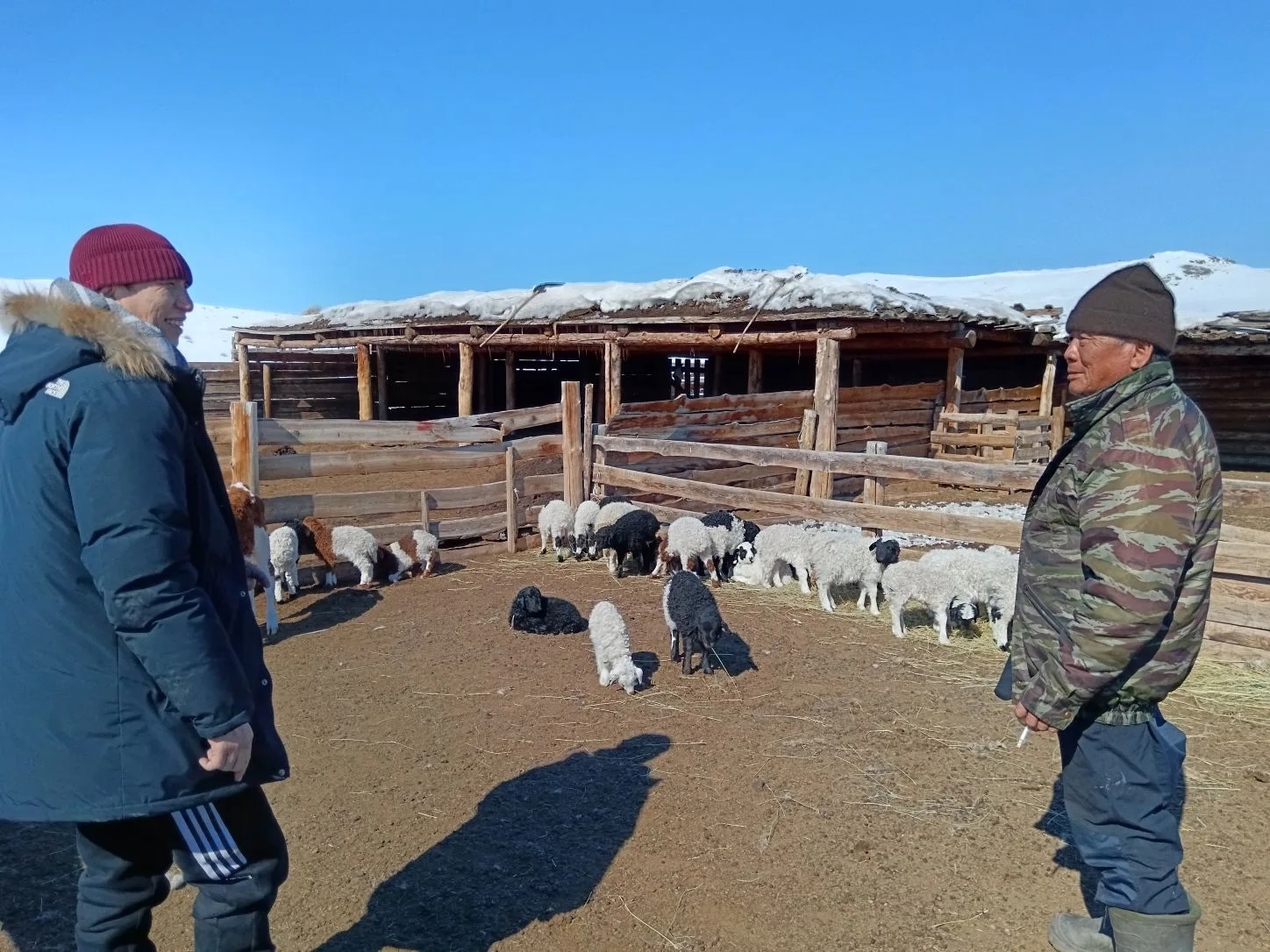 Начало окотной кампании в Тес-Хемском кожууне<p> Начальник отдела животноводства и племенного дела Министерства сельского хозяйства Адыгжы Ангакпанпровел рабочий визит в Тес-Хемский кожуун