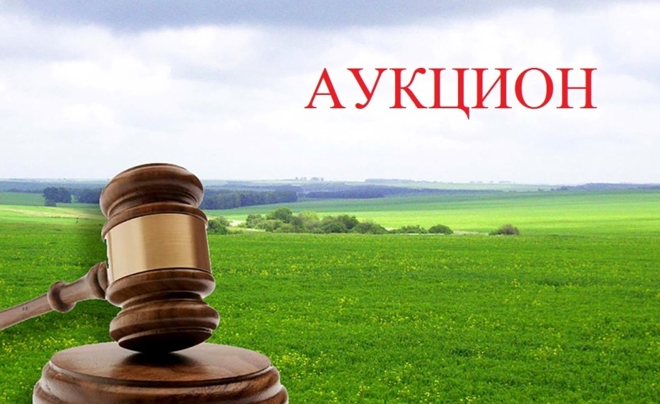 Департаментом архитектуры, земельных и имущественных отношений мэрии г