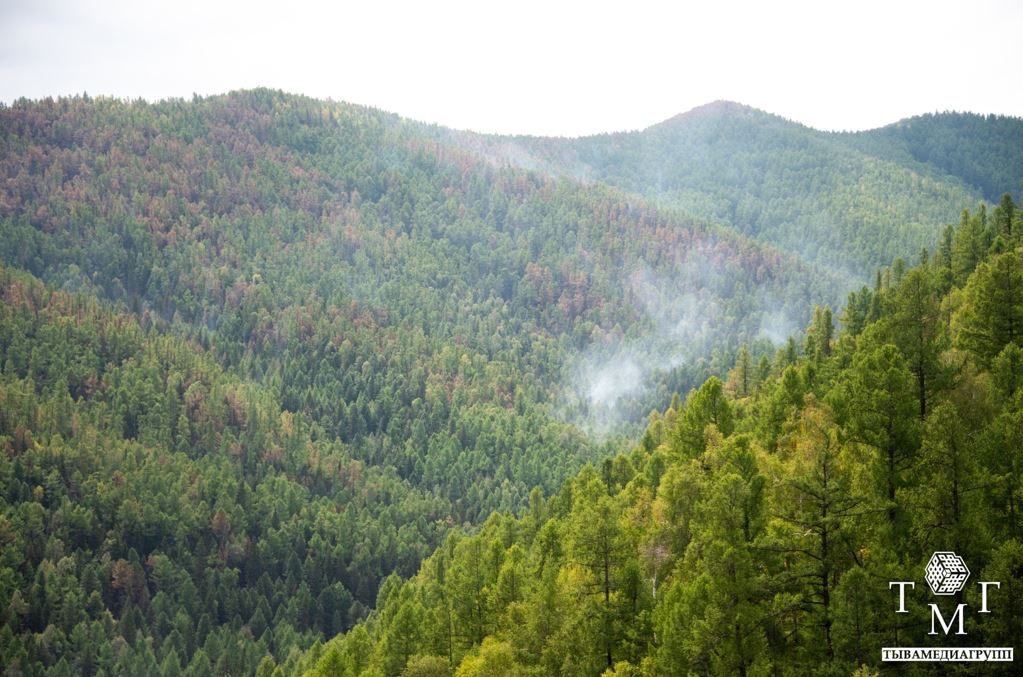 В Туве утвержден сводный план тушения лесных пожаров