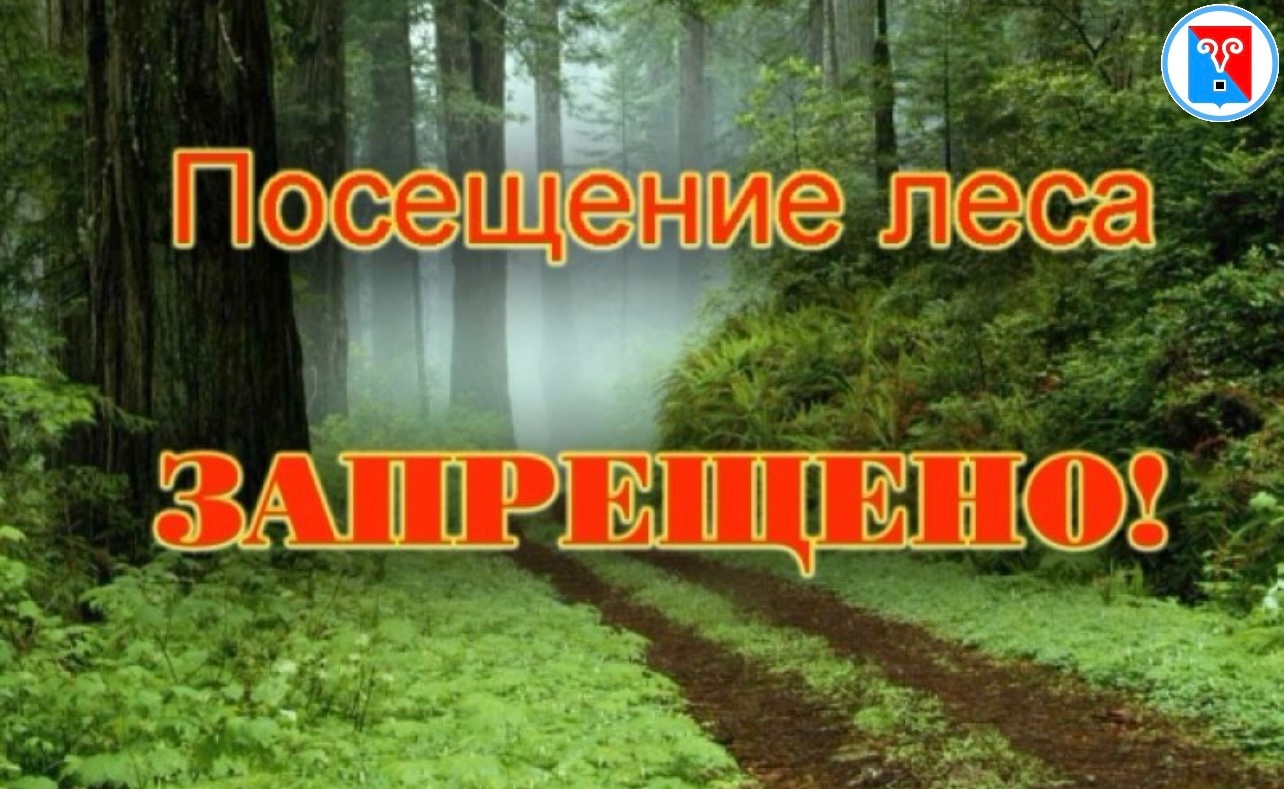 С 19 августа по 8 сентября в республике введён особый противопожарный режим. Это серьёзная мера, направленная на предотвращение лесных пожаров и сохранение нашей уникальной природы . С 19 августа по 8 сентября в республике введён особый противопожарный режим. Это серьёзная мера, направленная на предотвращение лесных пожаров и сохранение нашей уникальной природы .