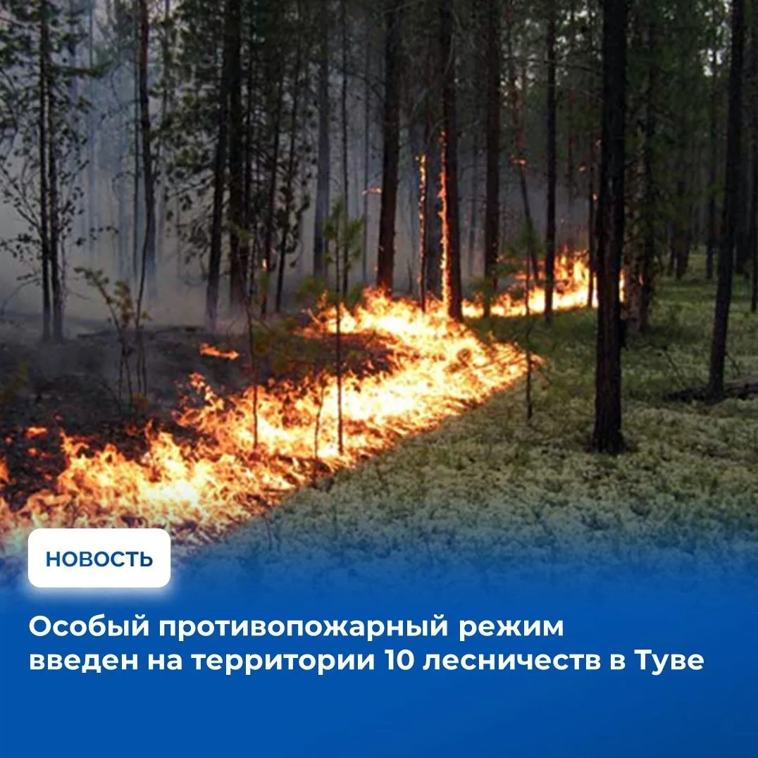 С 15 апреля в Туве будет действовать особый противопожарный режим