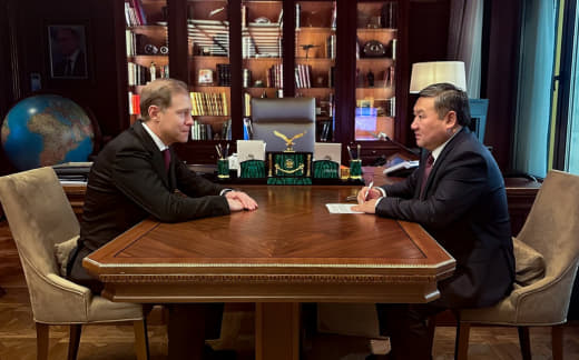 Владислав Ховалыг, Правительство России12.02.2025 23:13:08