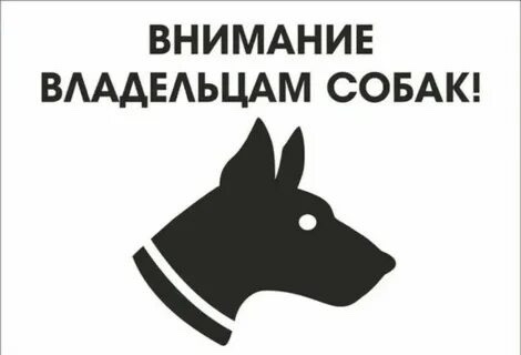 Уважаемые жители Тоджинского кожууна