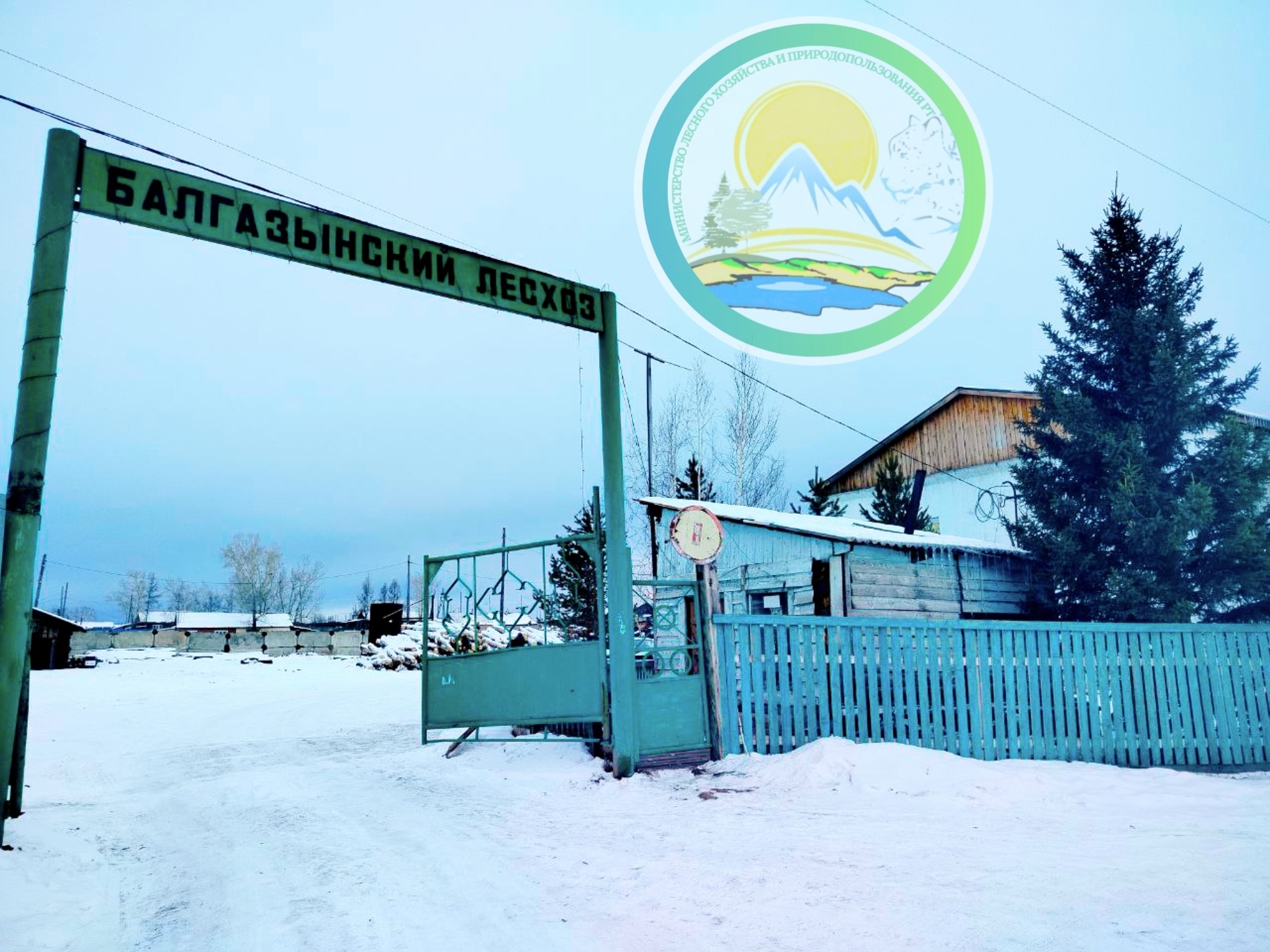 История и память о Балгазынском лесхозе