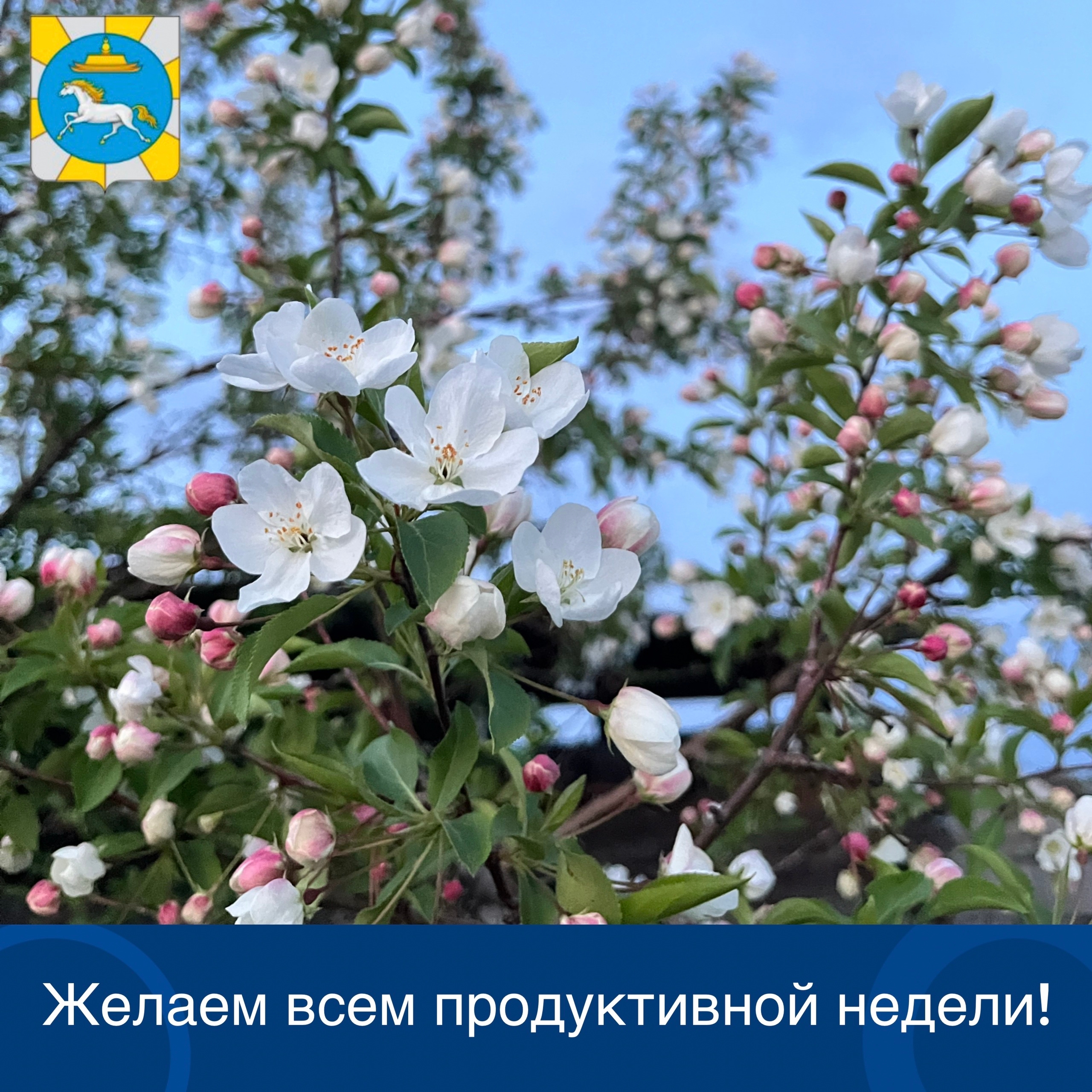 Доброе утро, земляки