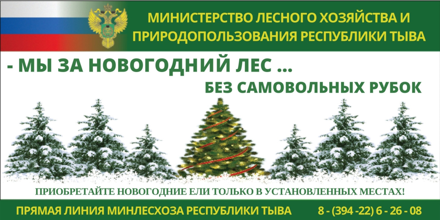 Охрана хвойных молодняков в Республике Тыва