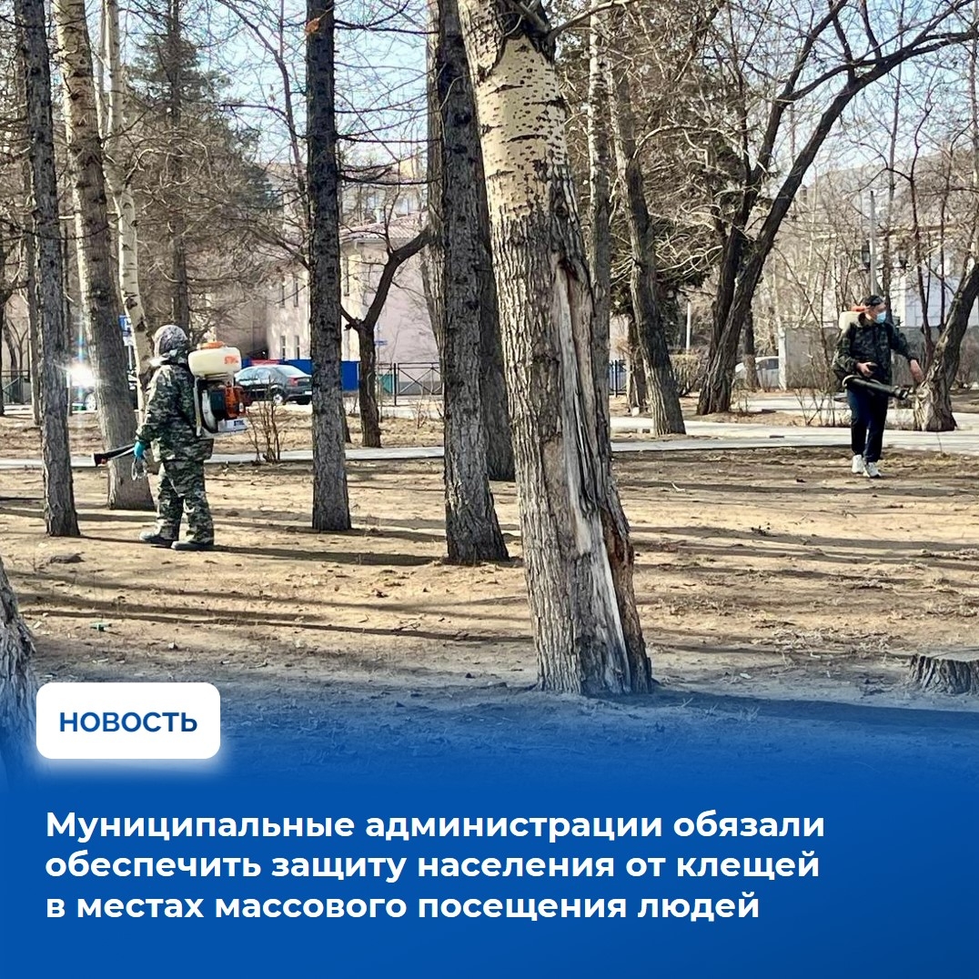 В Туве зафиксирован рост обращений в больницы с укусами клещей