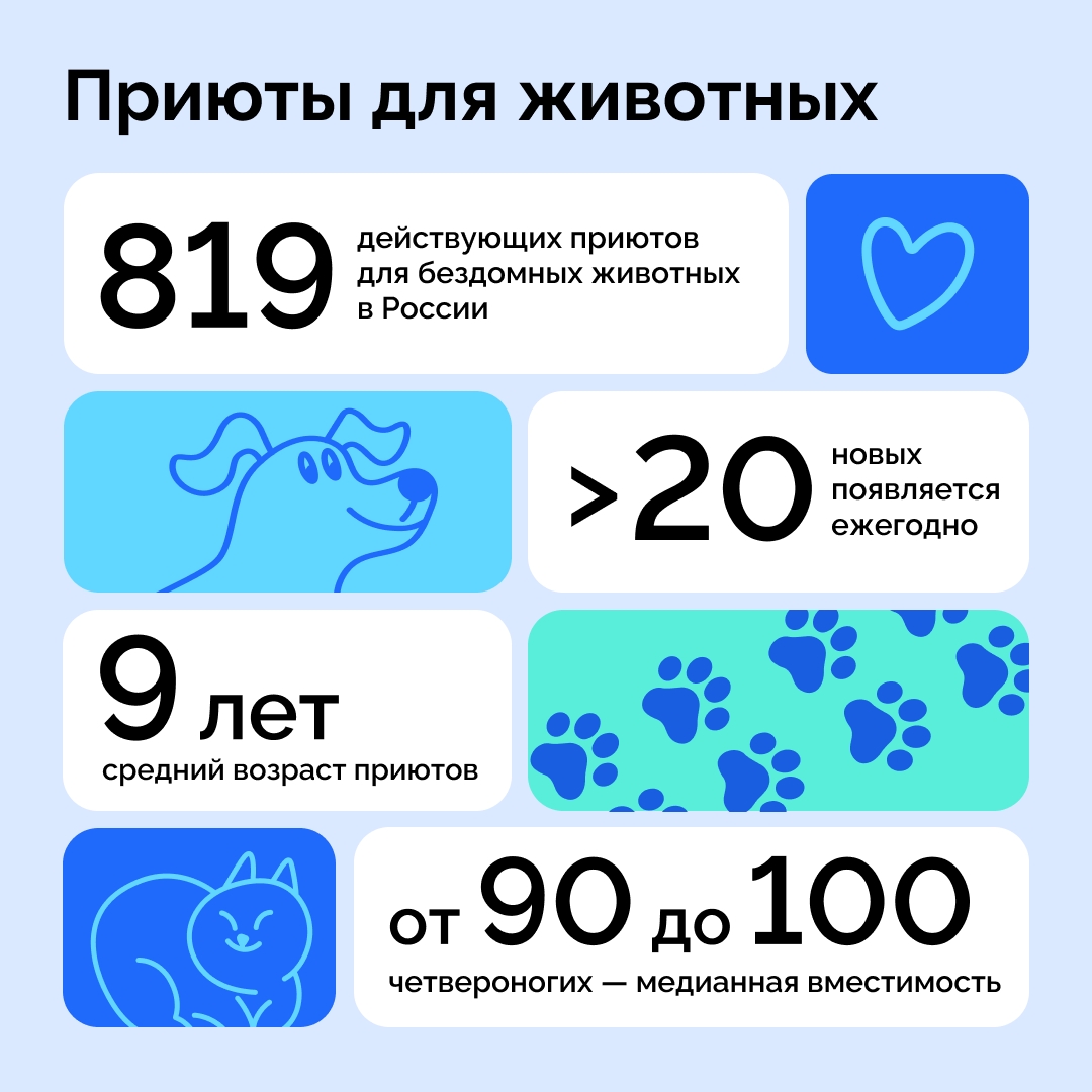 Бездомным животным помогают сотни тысяч неравнодушных людей по всей стране — от Калининграда до Владивостока. Но сколько четвероногих ежегодно попадают в приюты и как часто питомцев выбирают не по породе, а по зову сердца?