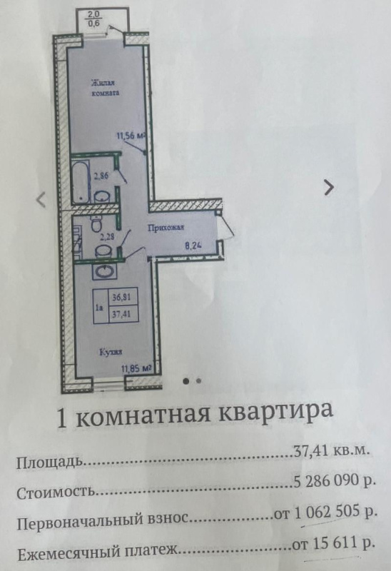 Добрый день. Добрый день.