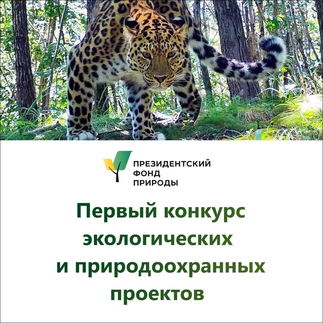 НАПОМИНАЕМ