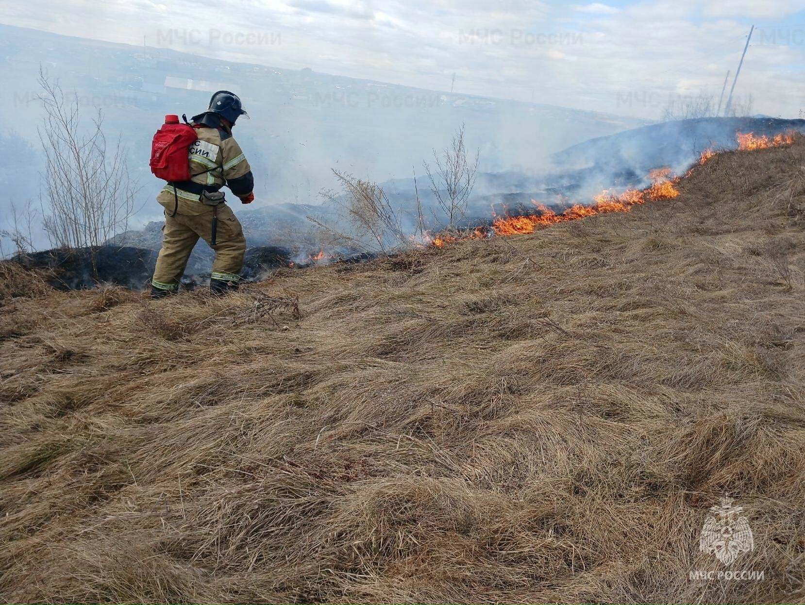 За выжигание сухой травы предусмотрен штраф<p>О том, как правильно сжигать сухую траву, мы писали тут, обязательно ознакомитесь