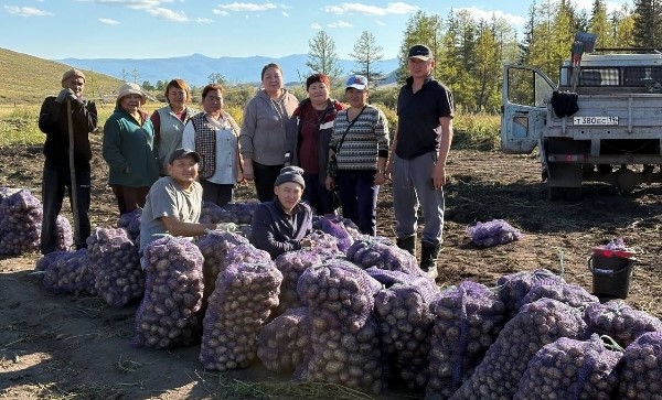 Өг-бүлениң шыгжамыры: Баштайгы картофель дүжүдүн ажаап алган