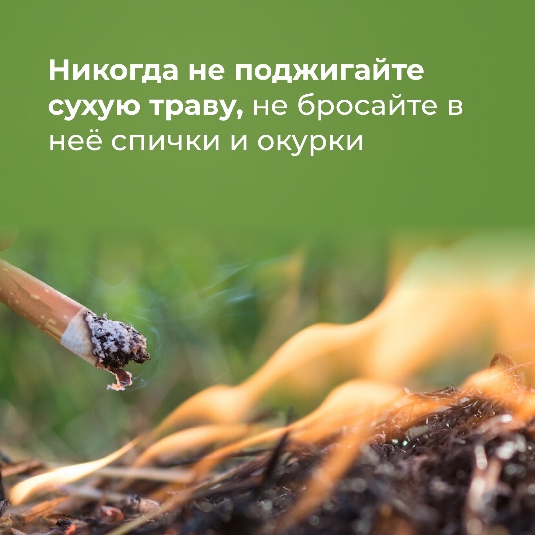 С наступлением тепла жители начинают сжигать прошлогоднюю траву, чтобы очистить землю