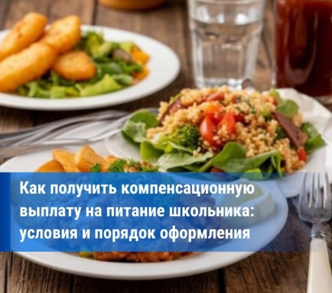 Компенсационная выплата в виде частичной компенсации расходов на питание (завтраки либо обеды) обучающихся 5-8 классов в общеобразовательных организациях, расположенных на территории Республики Тыва для детей из малоимущих теперь доступна и обучающимся 9-