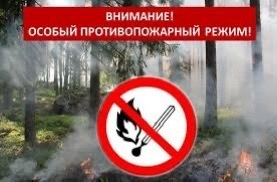 С 15 апреля по 5 мая в Республике Тува вводится особый противопожарный режим.