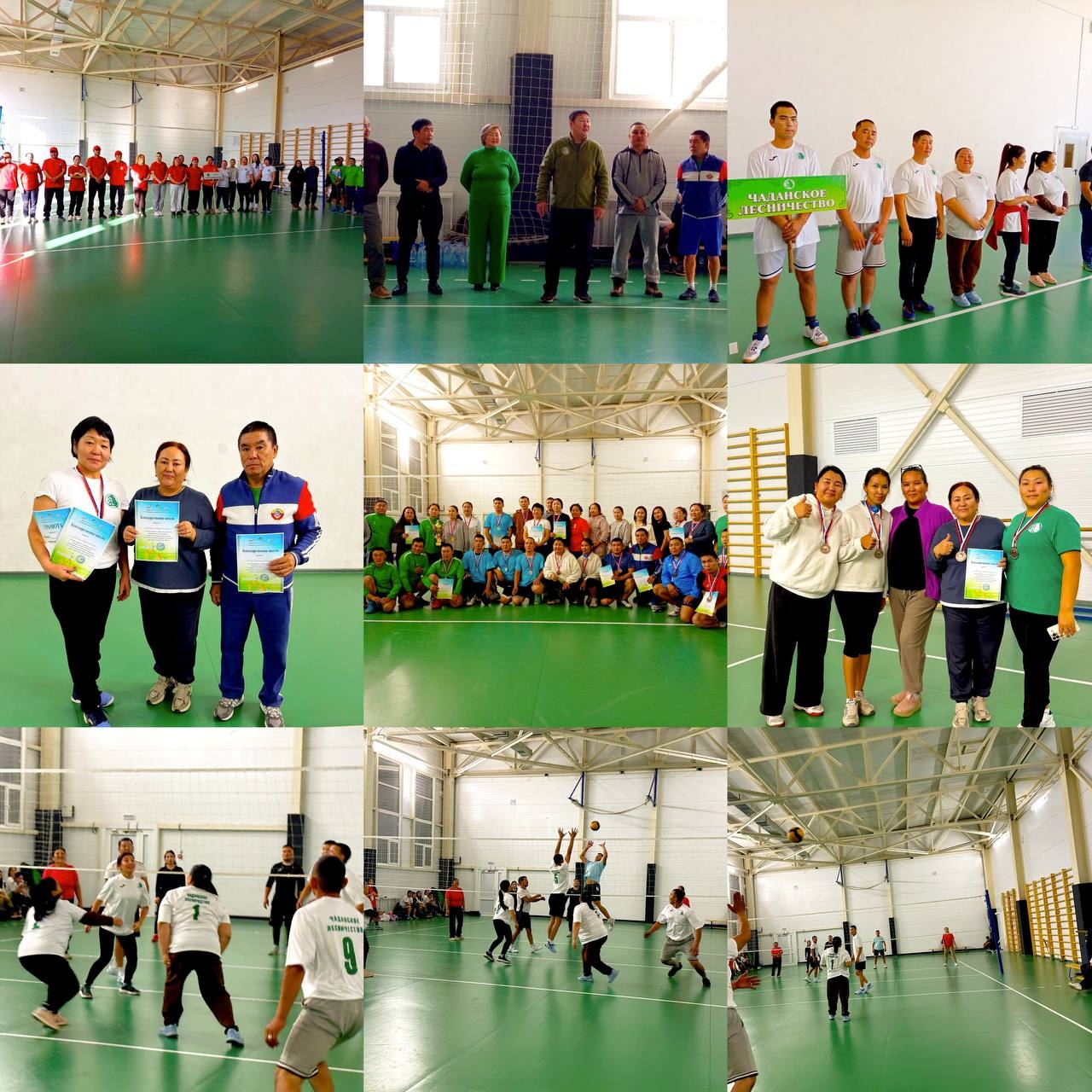 Республиканские работники лесной отрасли отметили профессиональный праздник спортивными состязаниями Республиканские работники лесной отрасли отметили профессиональный праздник спортивными состязаниями