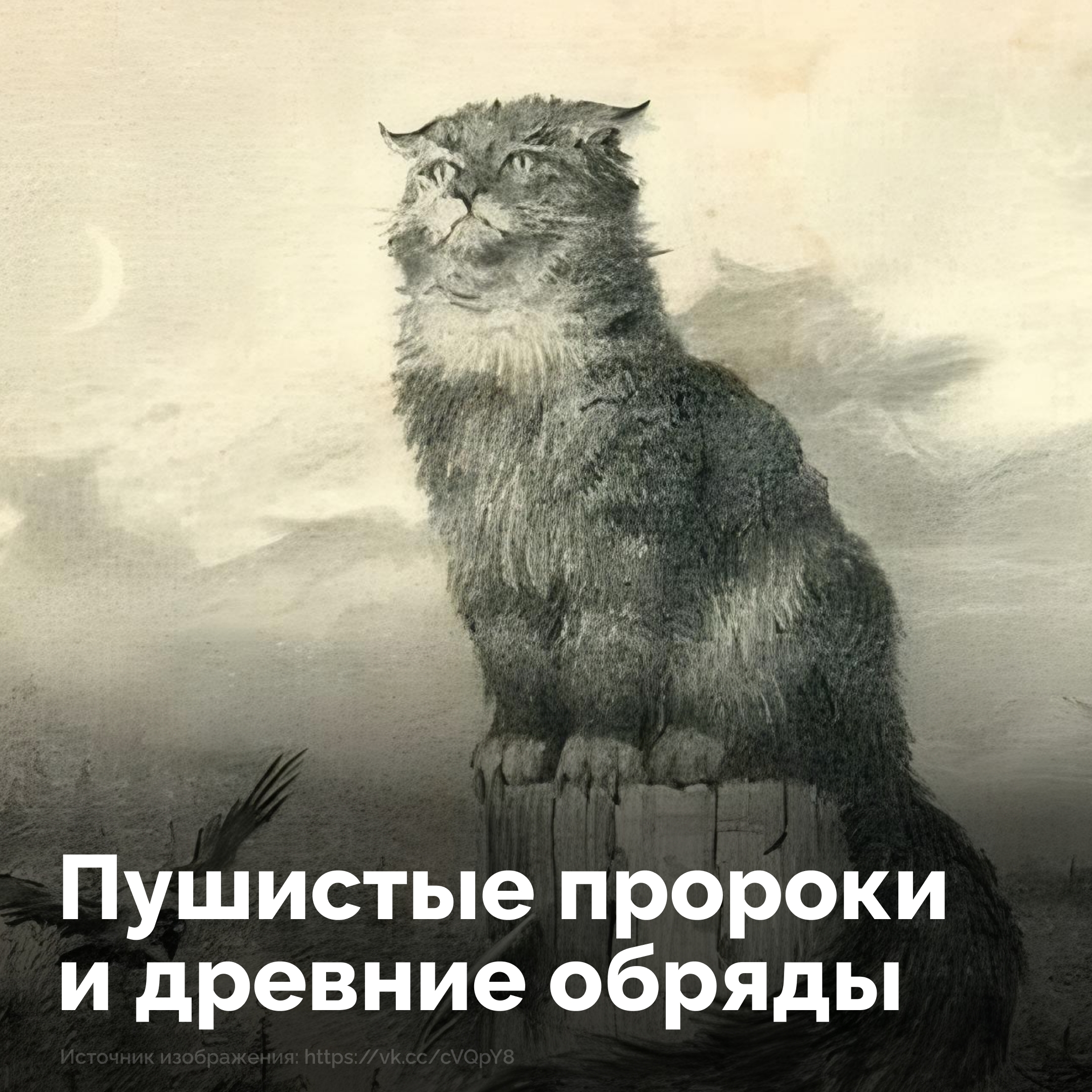 Как животные предсказывали судьбу?